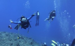 綺麗な海でダイビング！